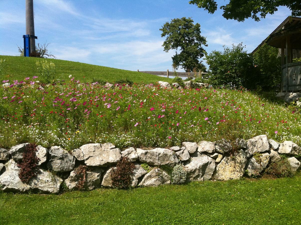 Landgasthof Fischbach Wackersberg ภายนอก รูปภาพ